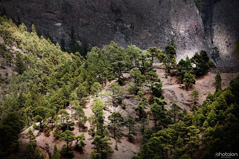 la-palma-canary-islands-spain-caldera-de-taburiente-ion-paciu-photoion-3
