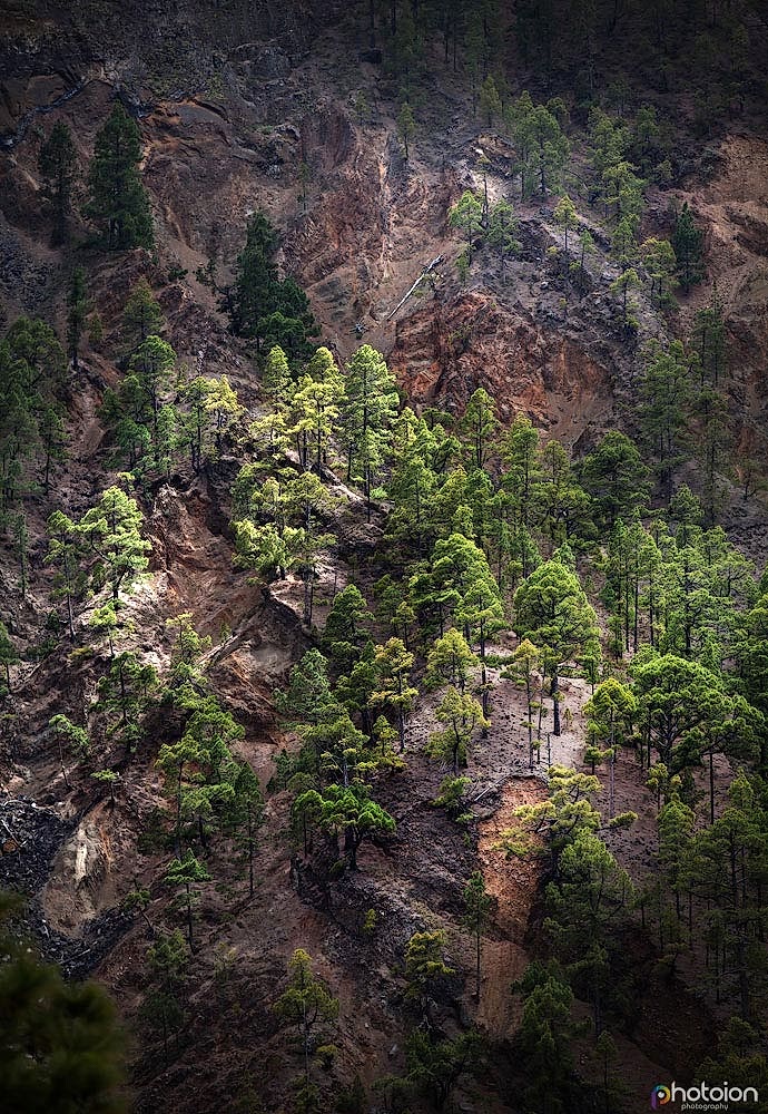 la-palma-canary-islands-spain-caldera-de-taburiente-ion-paciu-photoion-4