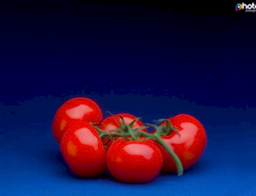 Food Photography Workshop Tomatoes
