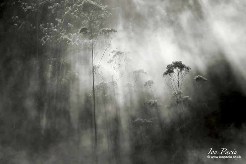 Foggy misty landscape in Madeira