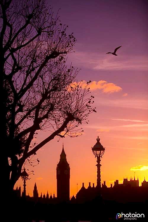 2016-in-pictures-photoion-photography-school-sunset