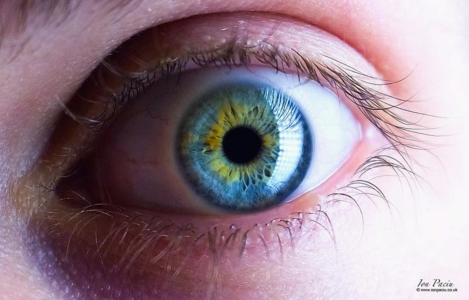 eye-macro-photography-school-photoion-london-ion-paciu