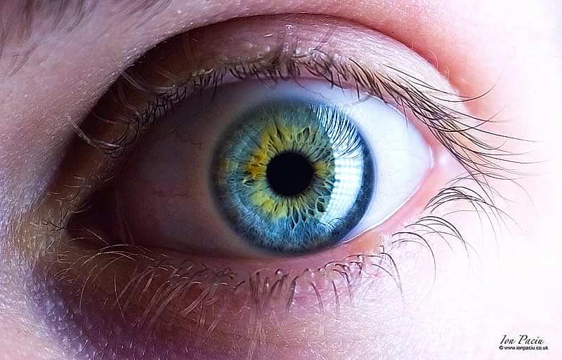 eye-macro-photography-school-photoion-london-ion-paciu