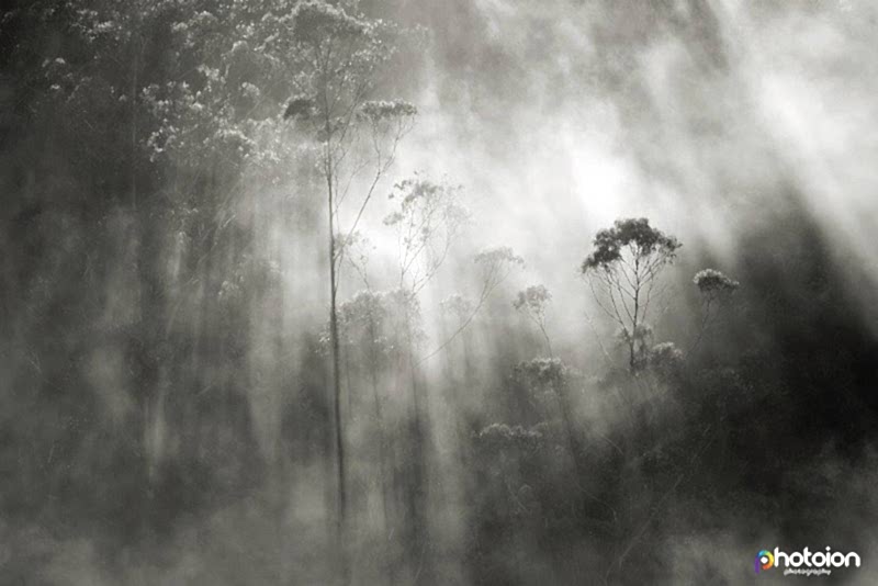photo of the month competition june 2018