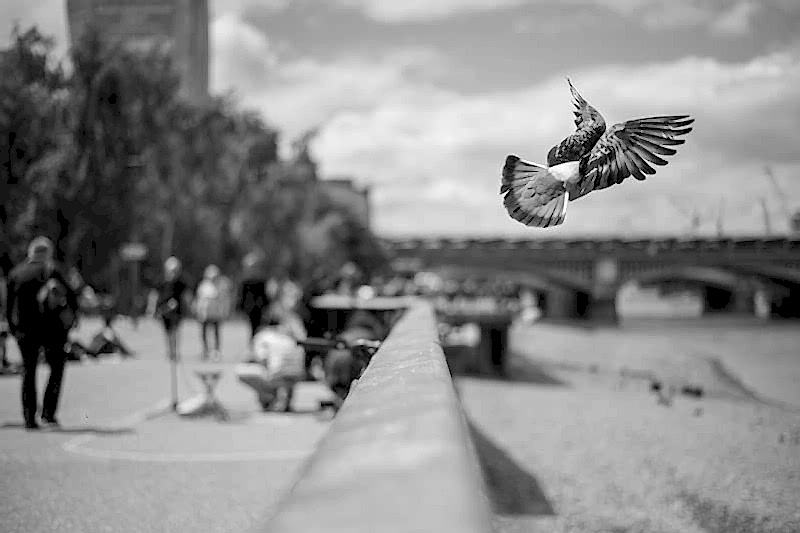 photography student of the month