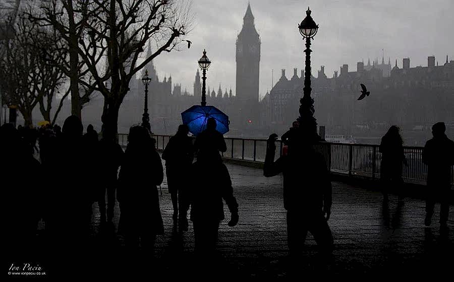 rain photography tips - umbrellas