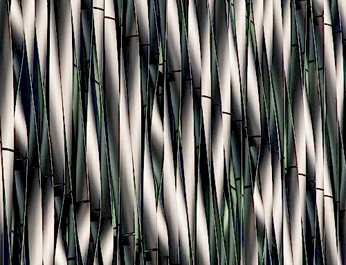 Architecture Image by Anni Keranen