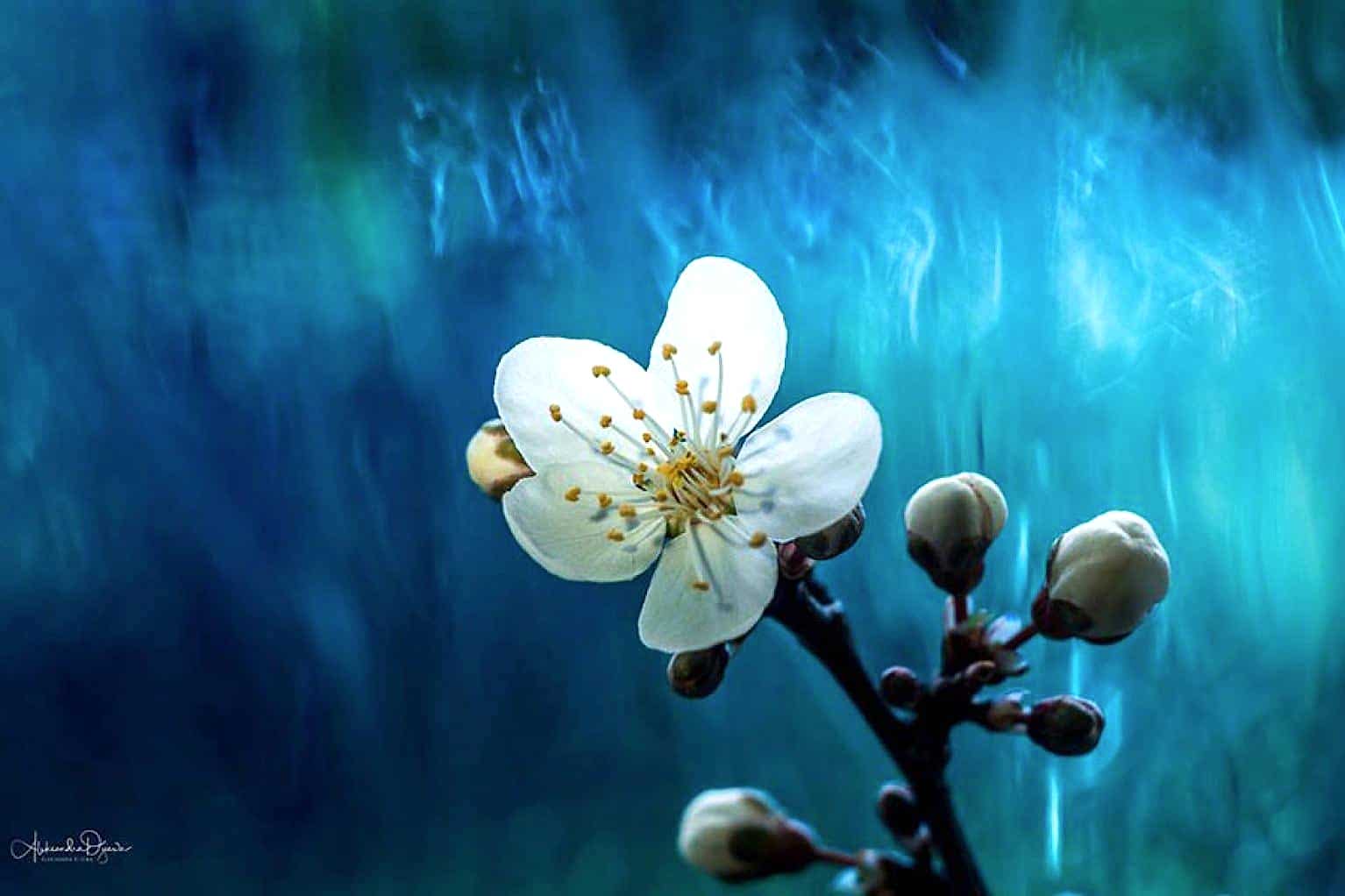 students' images